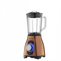 PGLQ352 Perspectiva [00]